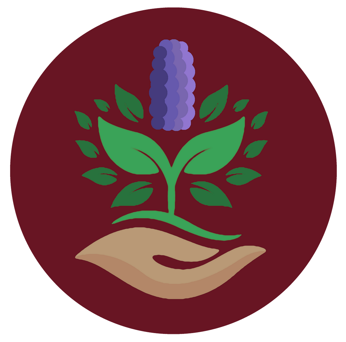 hyacinth-friday-periodical-medium