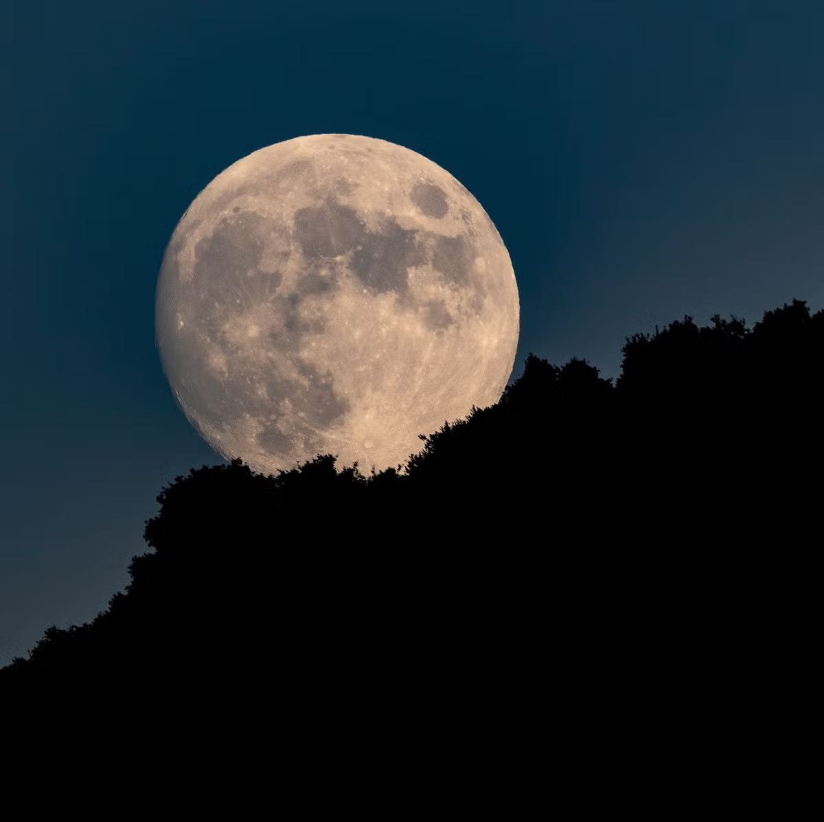 Everything about the Moon! | Tan90 Chronicles (15th September 2023)