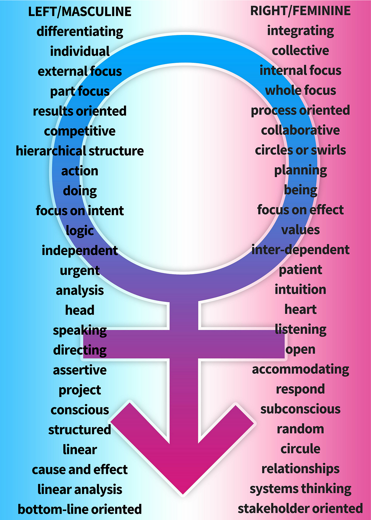 meaning in j' french Brained  Masculine Feminine, Right & Thinking Left Compared &