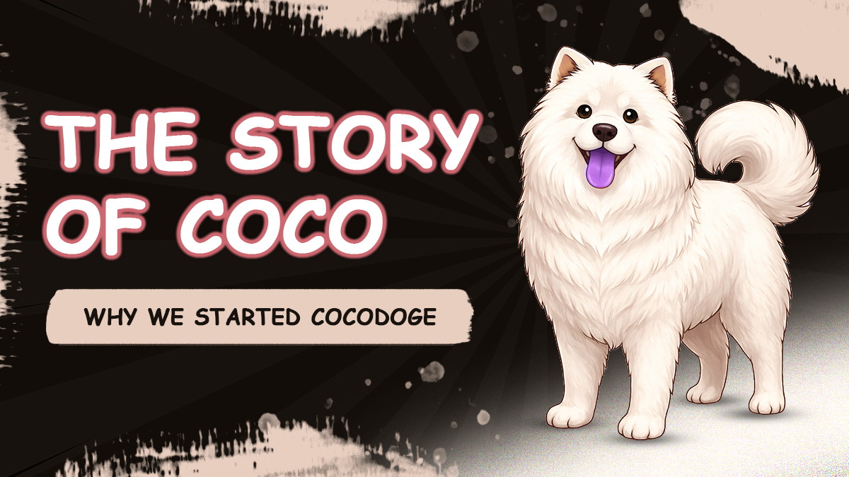 COCO DOGE The Story of Coco: Why We Started CocoDoge