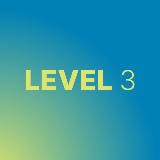 ... level 3