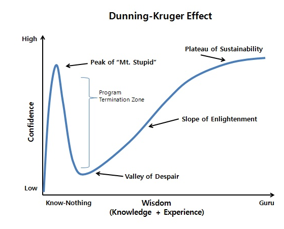 Dunner Kruger Effekt