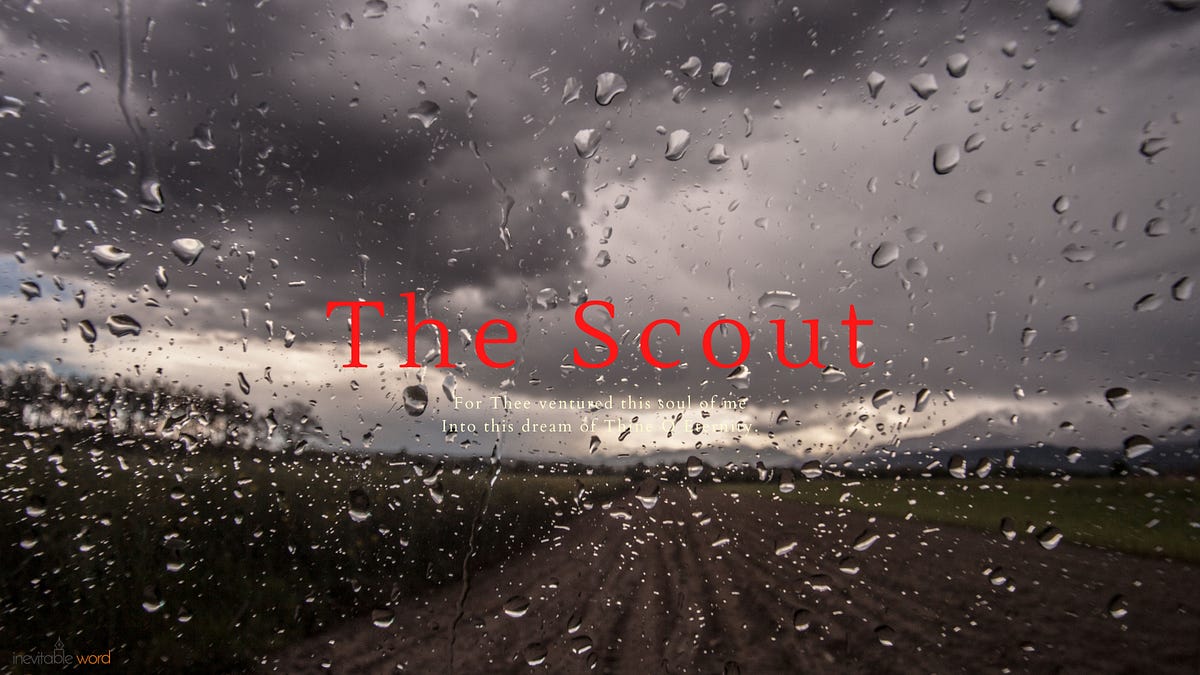 The Scout