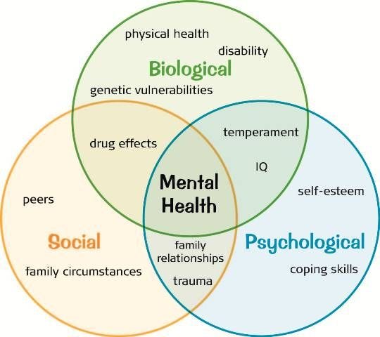 Medical care and psychological testing – Psyc 406–2016 – Medium