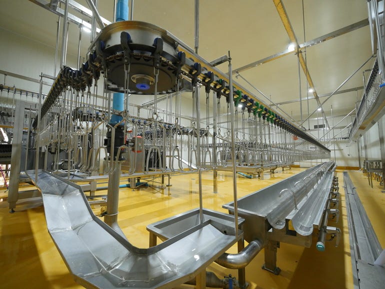 Thailand frozen chicken exporter
