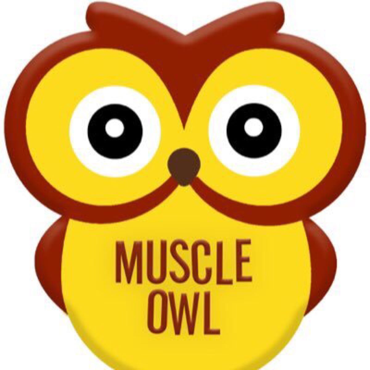 Muscle Owl – Medium