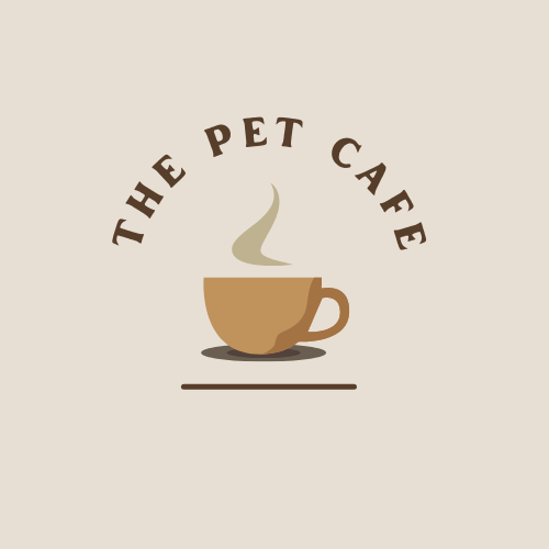 The Pet Cafe 🐾 – Medium