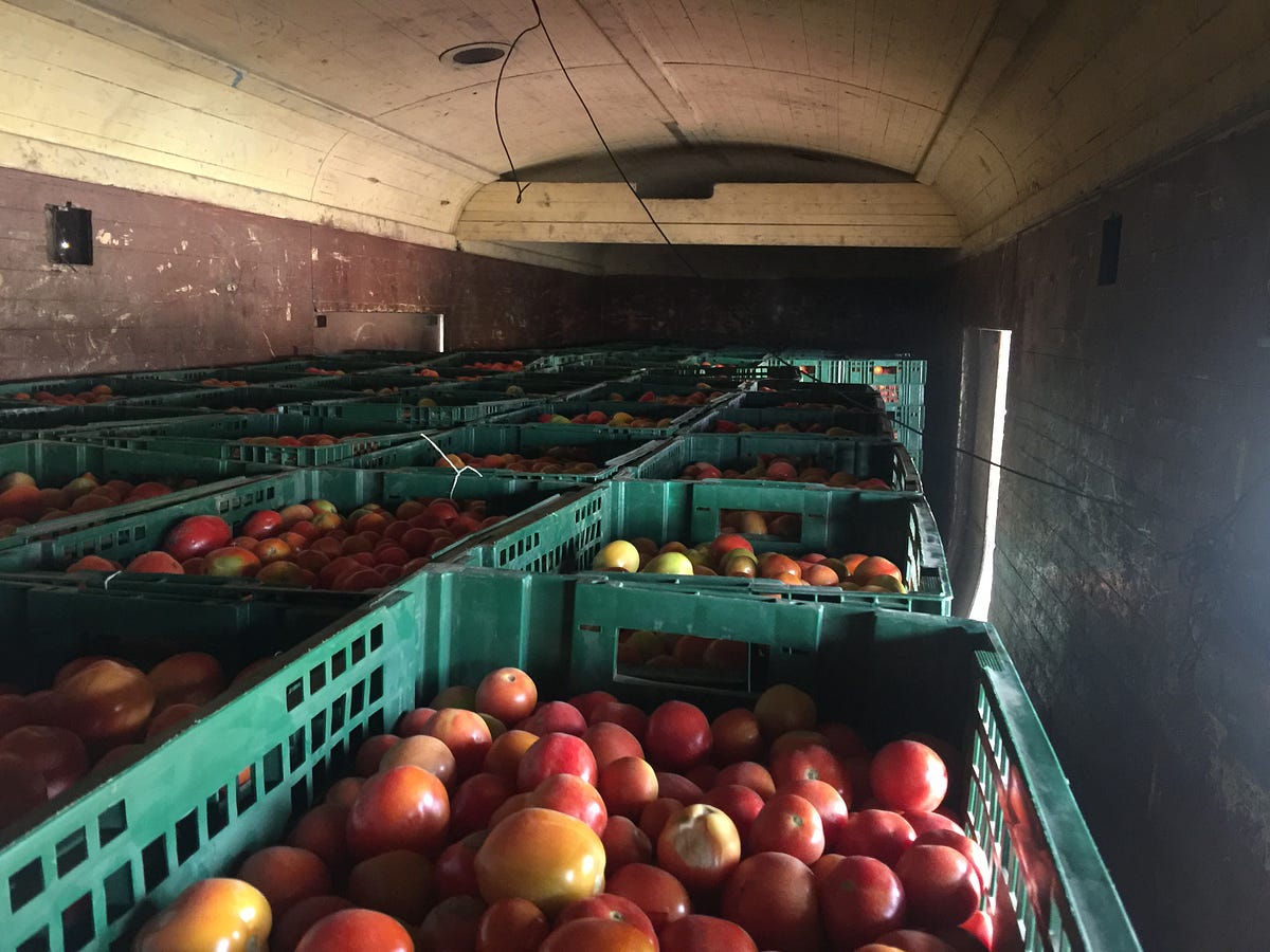 Rail transportation of tomatoes Insights from a practitioner