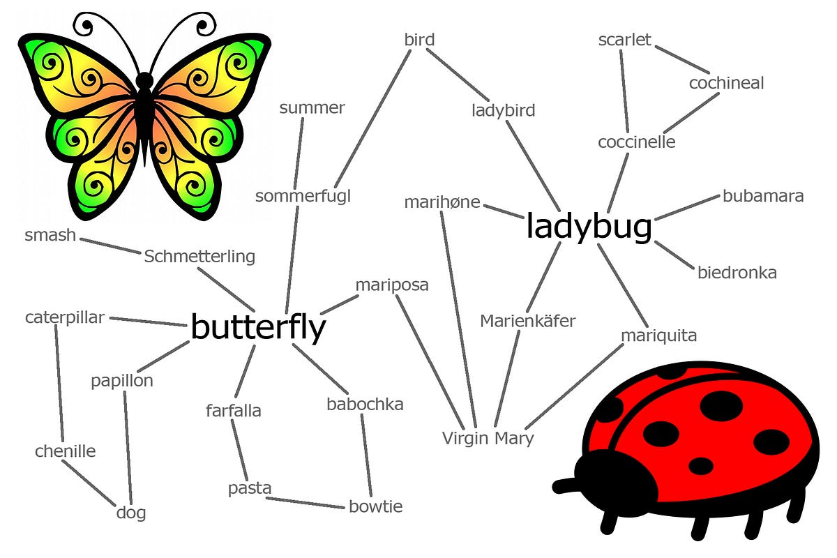 Word Connections Butterfly & Ladybug The Philipendium Medium