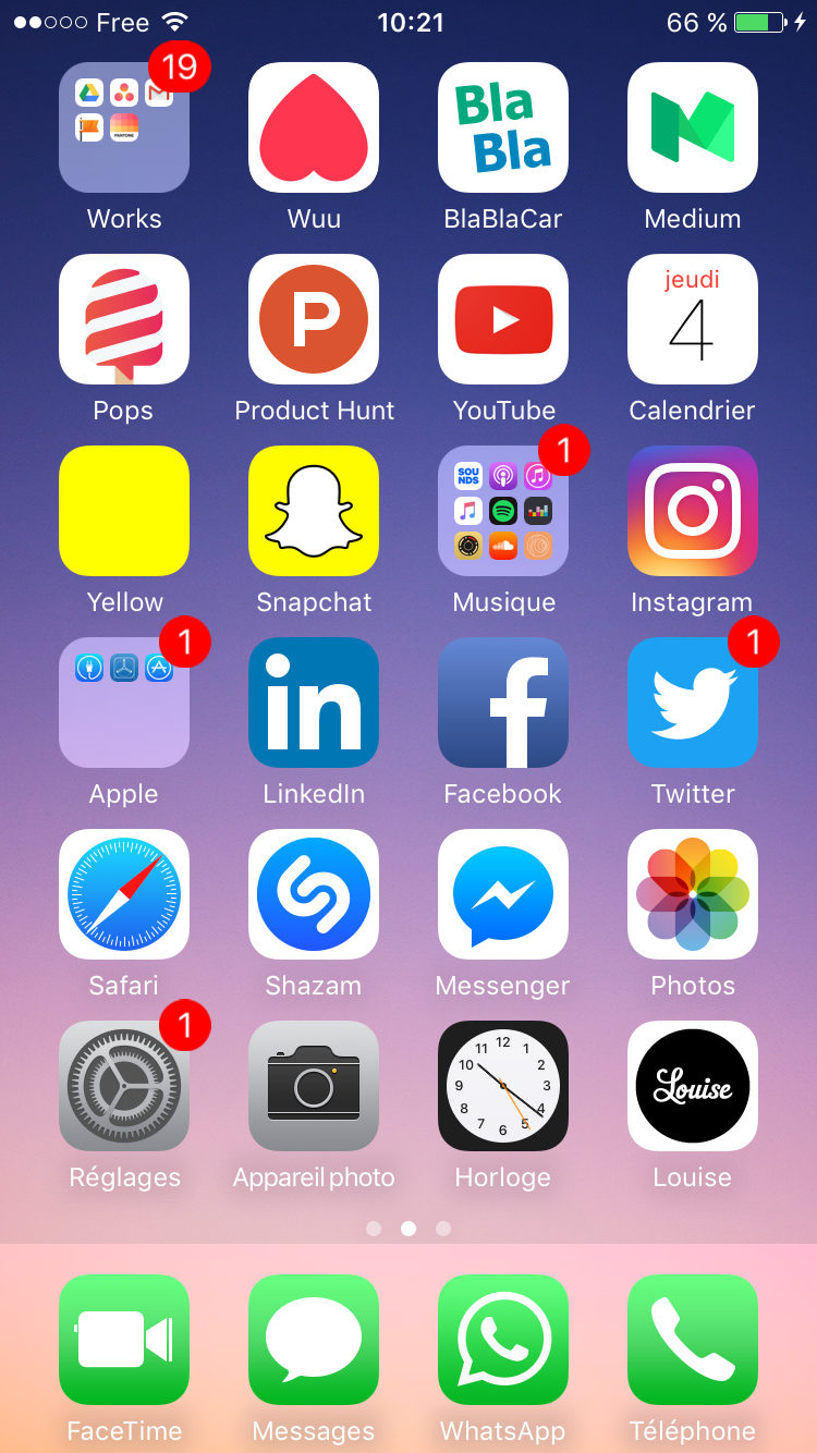 My iPhone homescreen – Louise Application – Medium