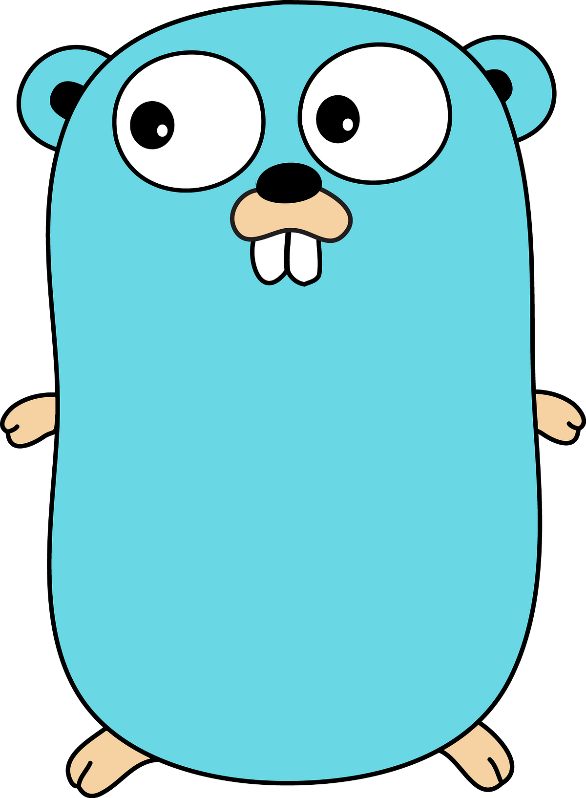 Golang Programming Language Medium