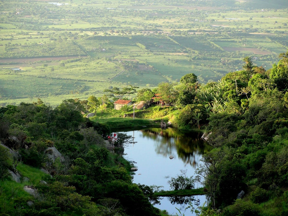 Serra Negra em Bezerros — Uma viagem ao turismo ecológico. Serra Negra em Bezerros — Uma viagem ao turismo ecológico.