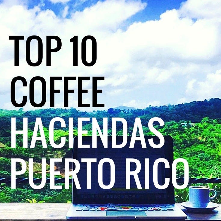 Top 10 Coffee Haciendas in Puerto Rico Isla Caribe Medium