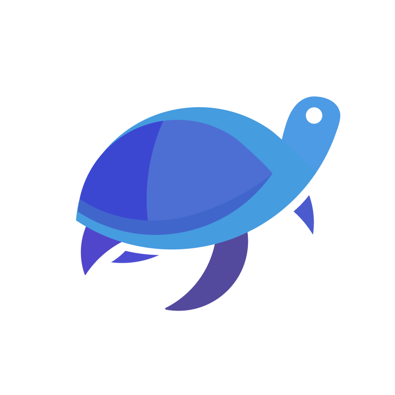 Learn Turtle - Medium