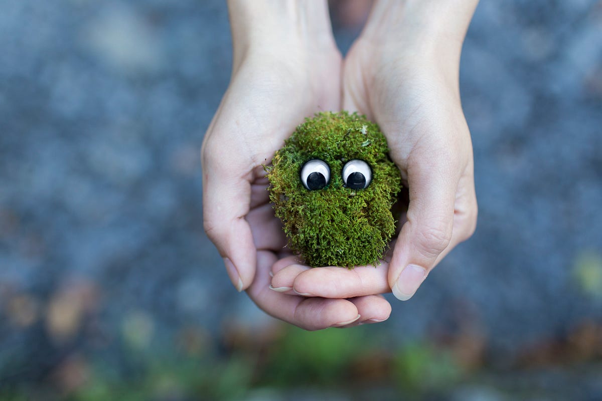 Cultivating Friendgineers