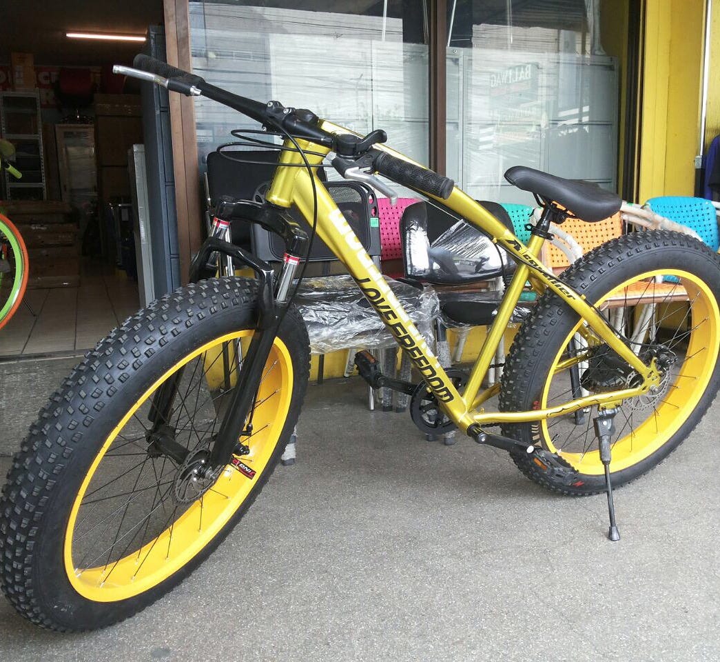 fat bike under 12000