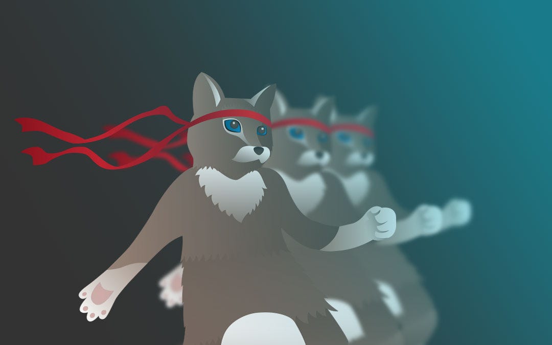 ninja cat wallpapers