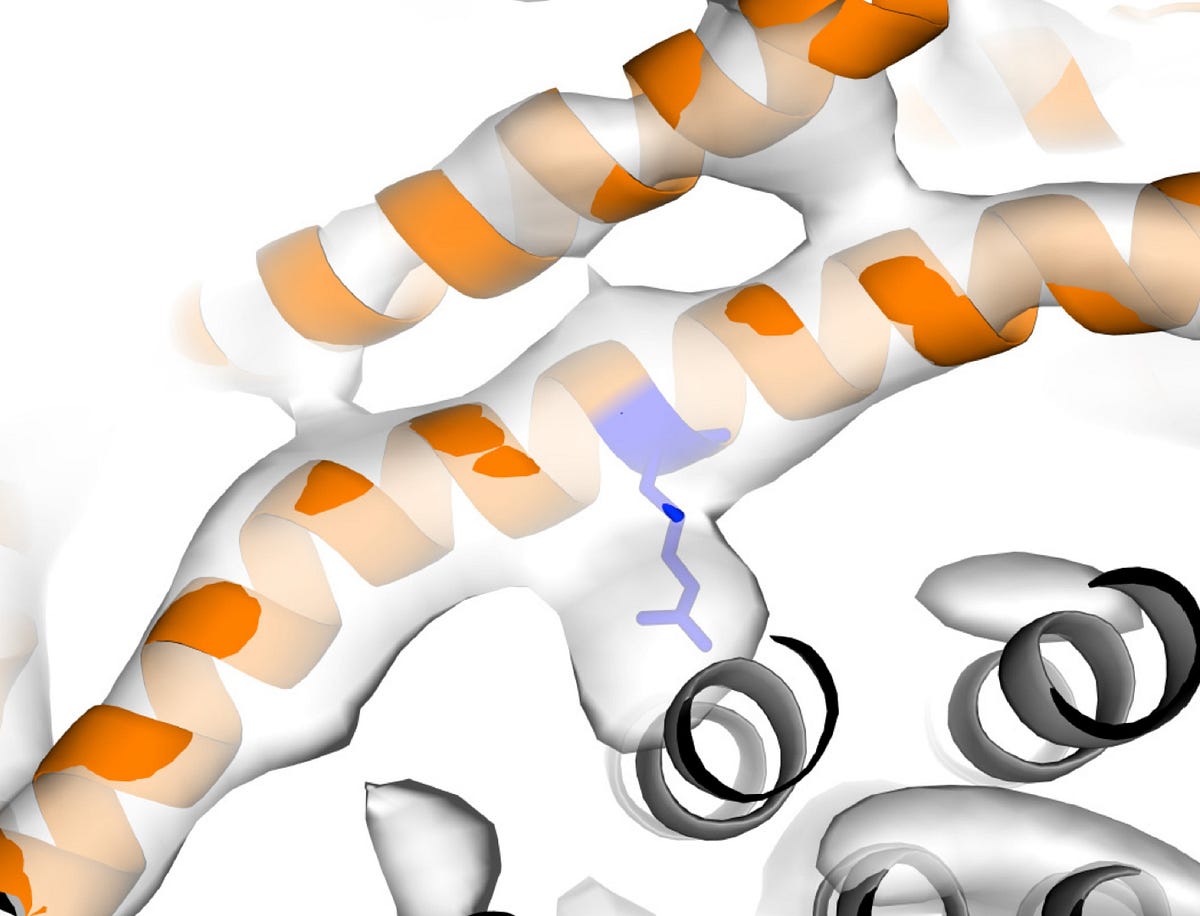 what-does-atp-synthase-look-like-life-s-building-blocks-medium