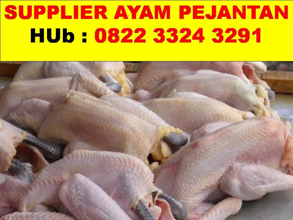Jual Kaos Ayam Bangkok 20 Kota Depok Drinjani2306 Tokopedia