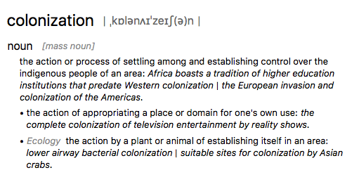 dictionary meaning of colonization