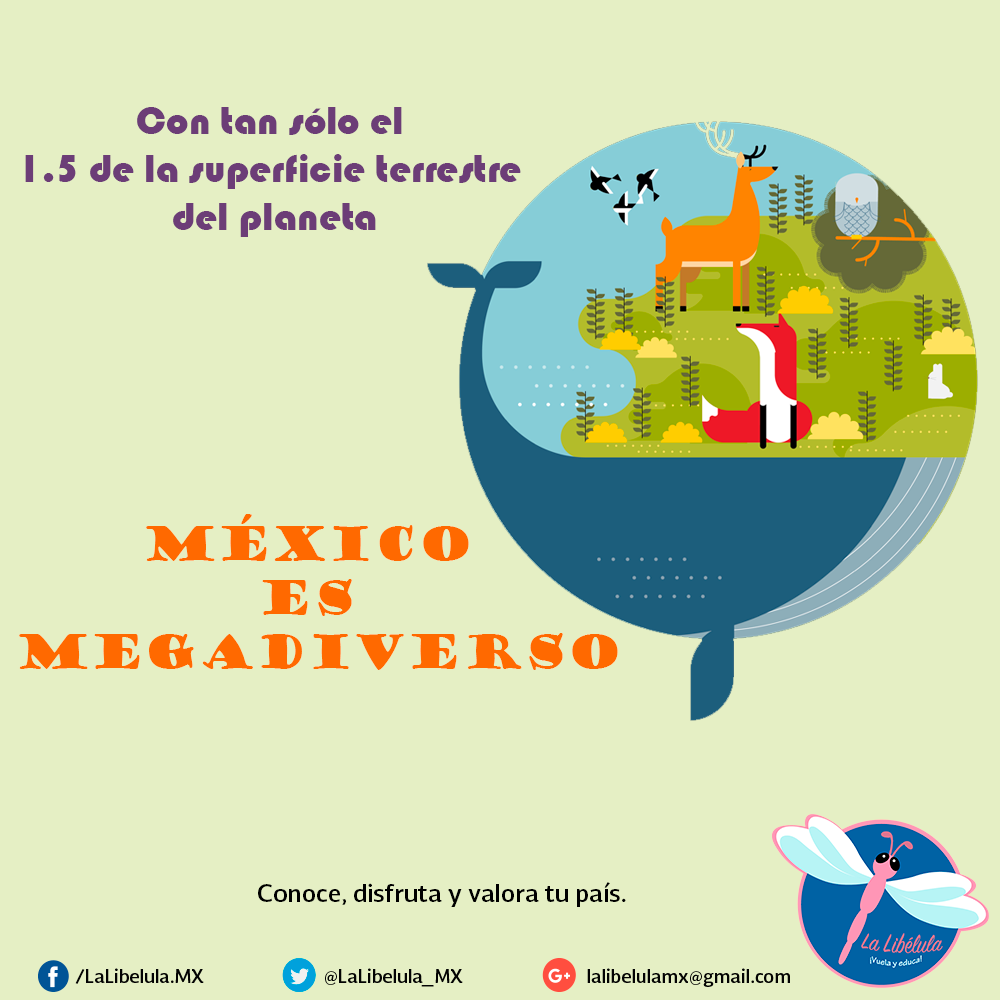 Diez razones por las que México es un país megadiverso 🇲🇽🐍🌵