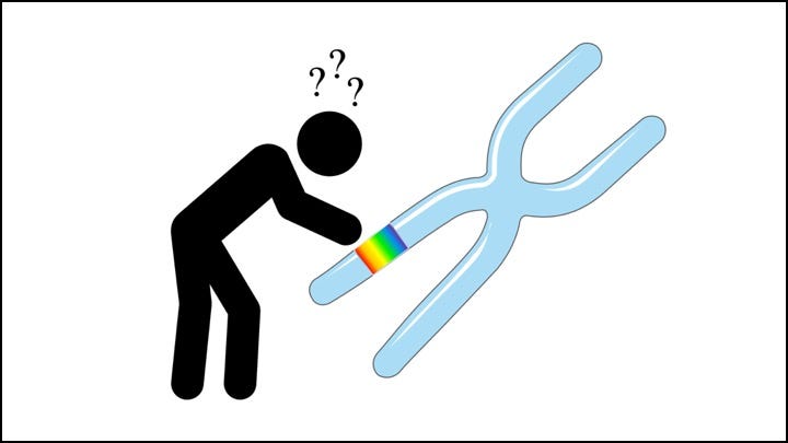 The Evolutionary Advantage Of Homosexuality A Sterile Debate
