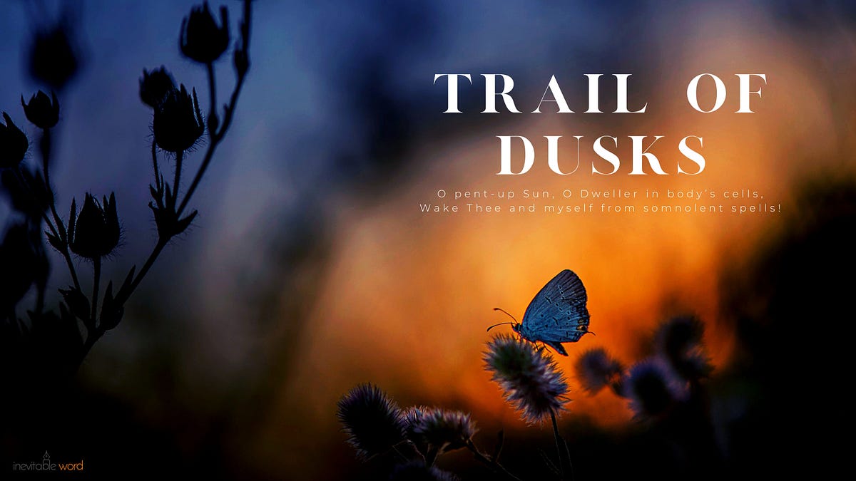 Trail of Dusks