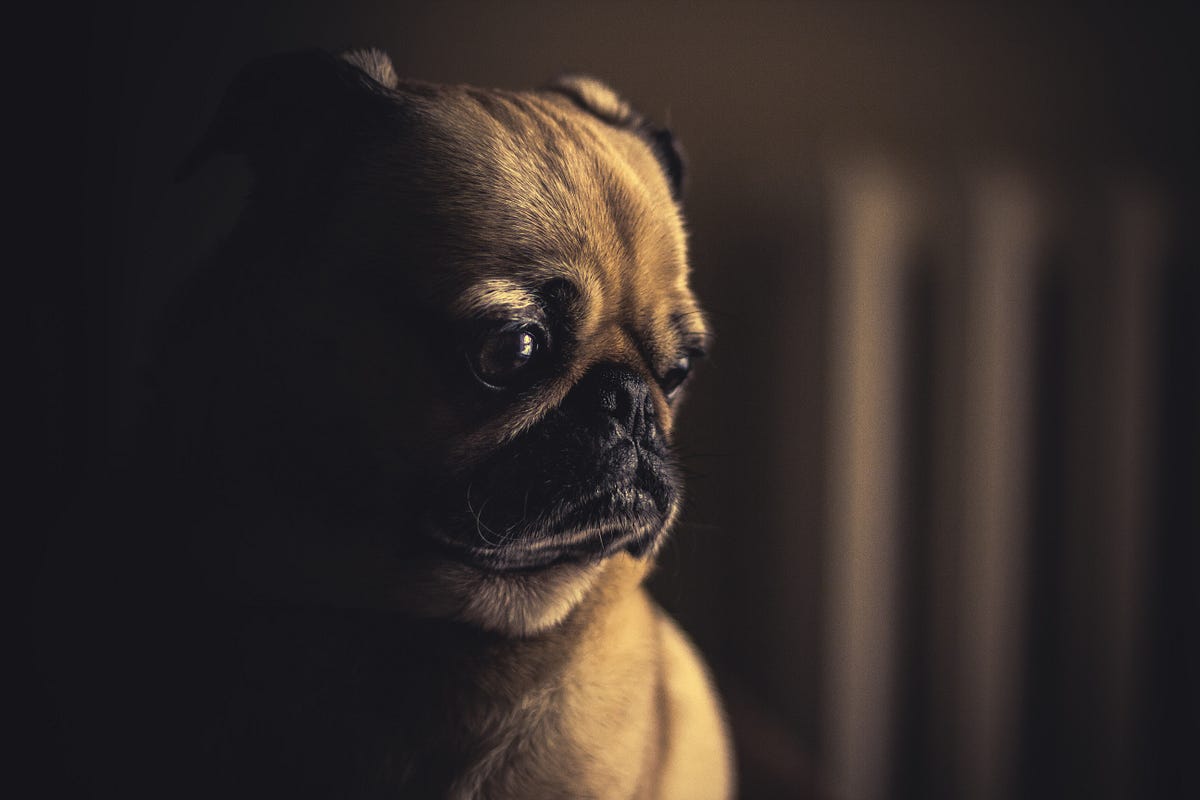 3 Concepts to Keep in Mind When You’re Struggling