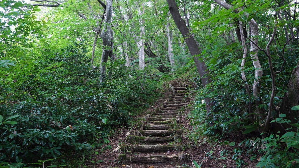 A stairway leads up the mountain path under a canopy of bright green leaves on Mt. Kyogakura in Sakata City, Yamagata Prefecture, Tohoku region of north Japan.