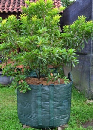 promo o8ii 263i 3o4 planter bag planter bag murah promo o8ii 263i 3o4 planter bag planter bag murah