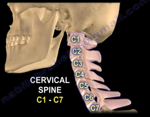 cervical-spine-instability-flexion-extension-x-rays