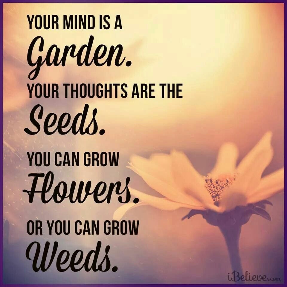 Grow Your Thoughts and Grow Your Life Abdul Azeez Medium