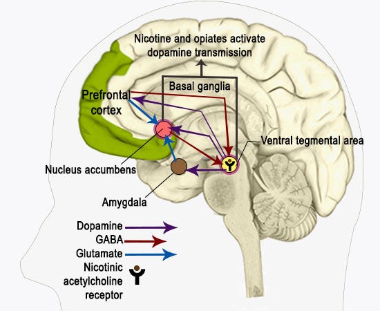 Psychopaths: The Modern Take – Emma Cooke – Medium