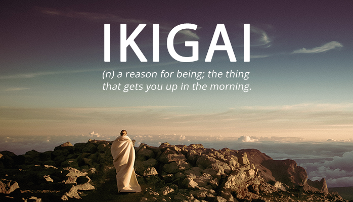 Finding Your Ikigai – Jan Tegze – Medium