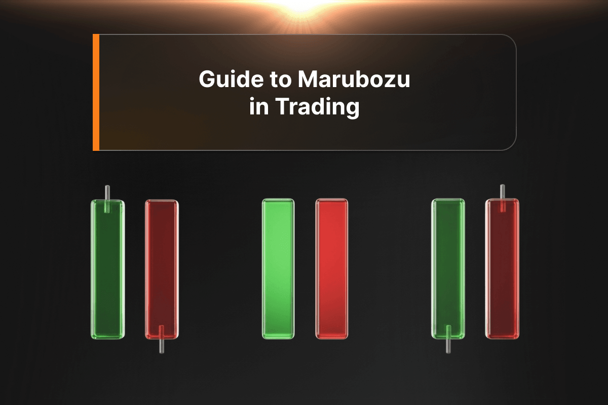 A Complete Guide to Marubozu in Trading