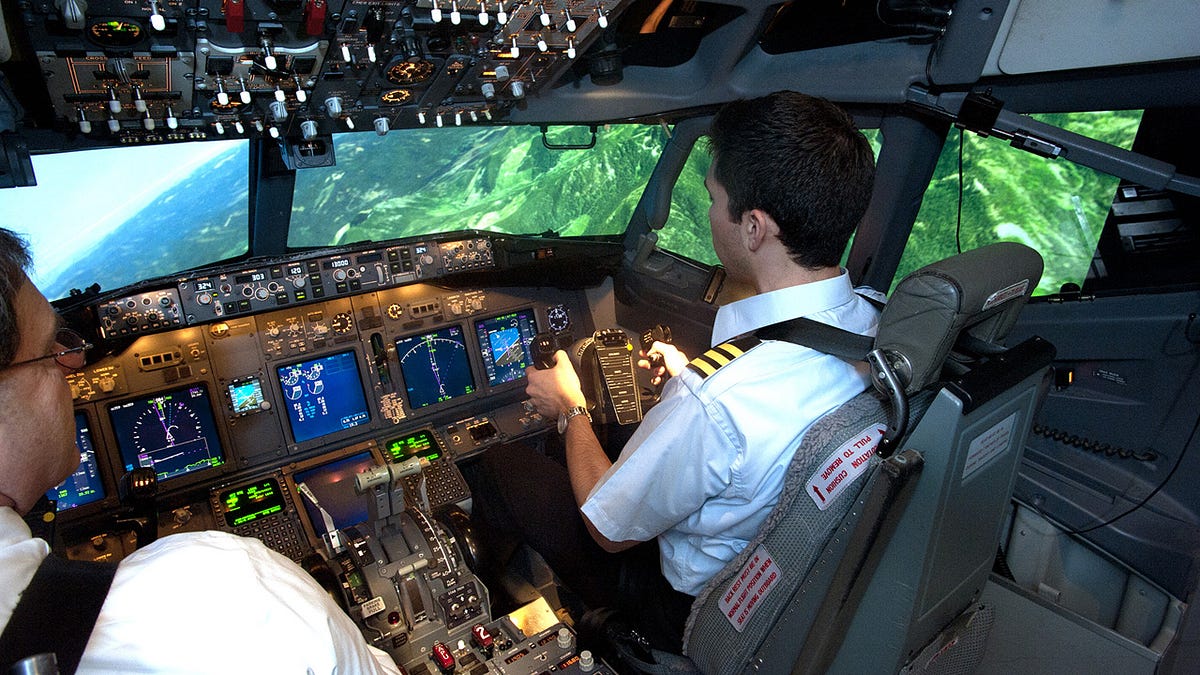 flight simulator