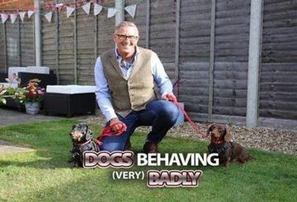 dogs behaving really badly