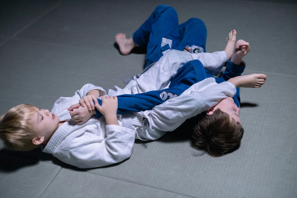 Martial Arts Styles to Learn in Silicon Valley