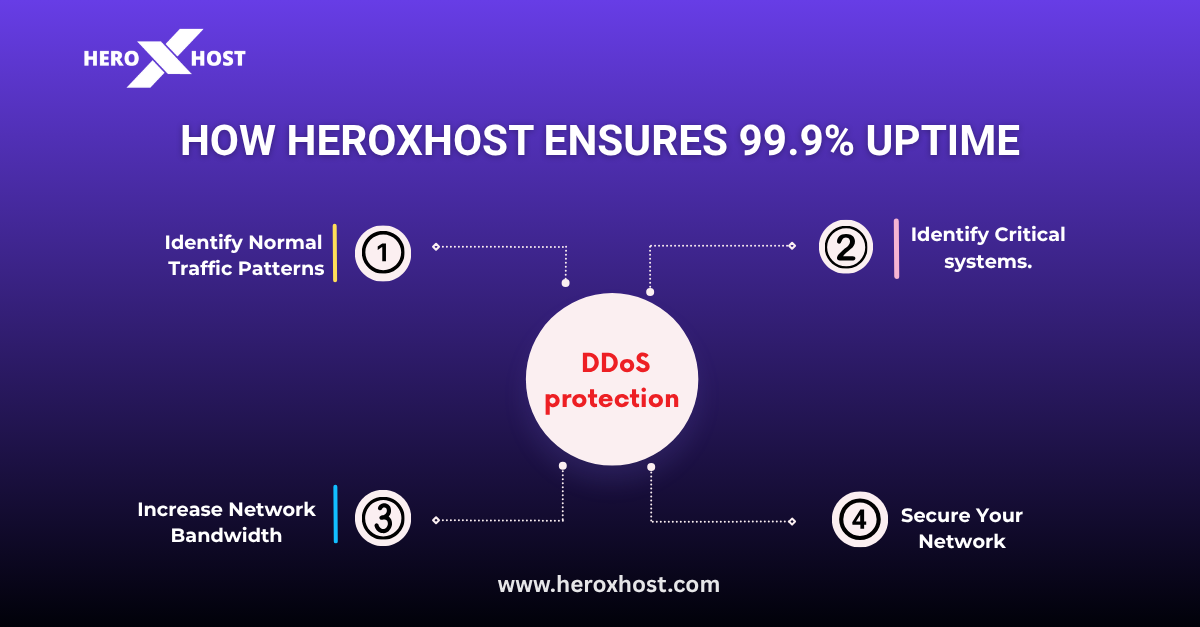 DDoS Protection Explained: How HeroXHost Ensures 99.9% Uptime