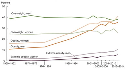 Food Addiction Research Paper