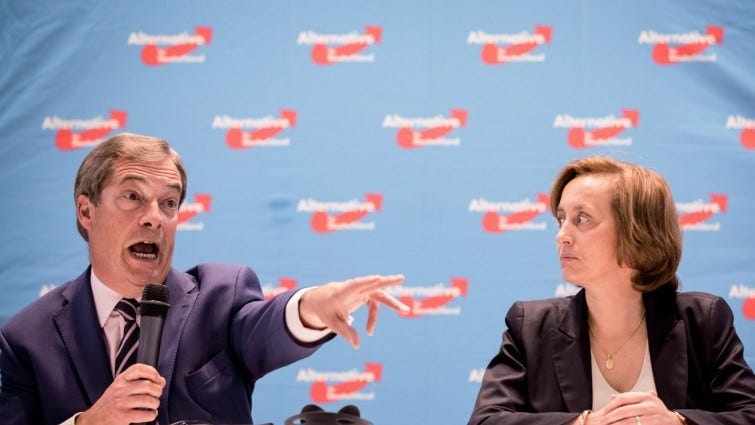 This is everything I discovered about >all< of The Brexit Party MEP candidates.