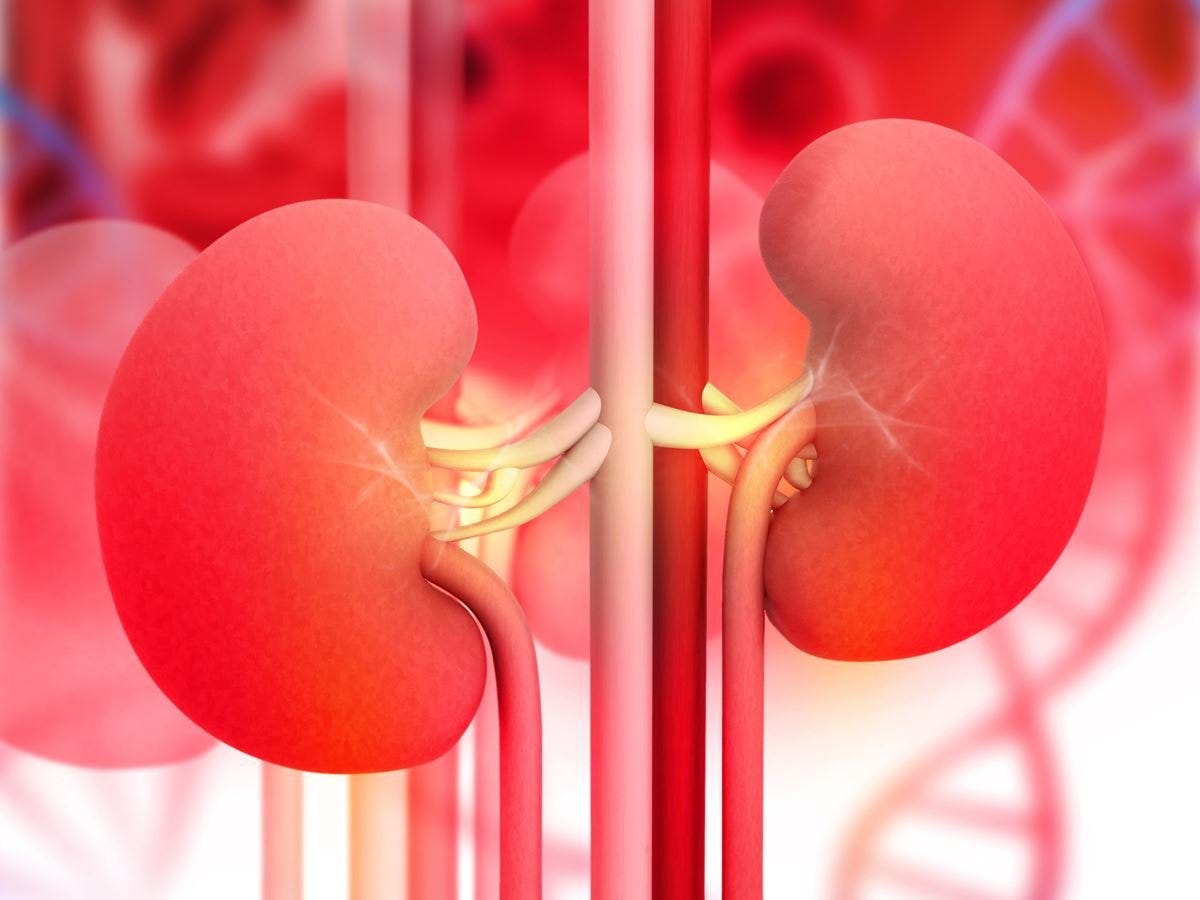 THE VITAMIN D CRISIS IN ENDSTAGE RENAL DISEASE Nutrisphere Medium