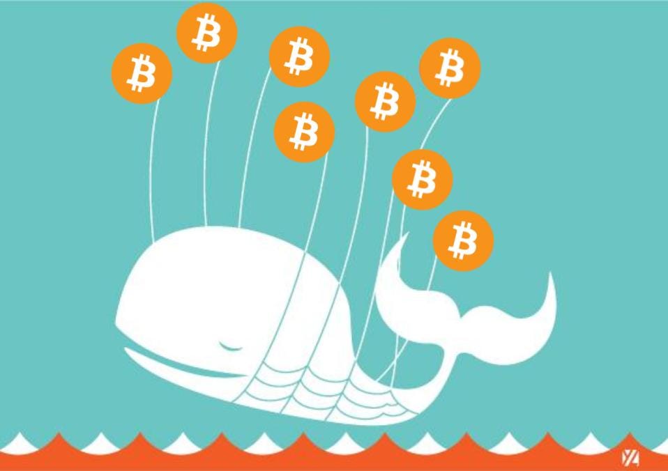 Resultado de imagen de bitcoin whales