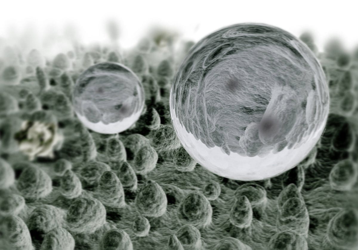 Nanotechnology and Textiles NanografiBlografi Medium