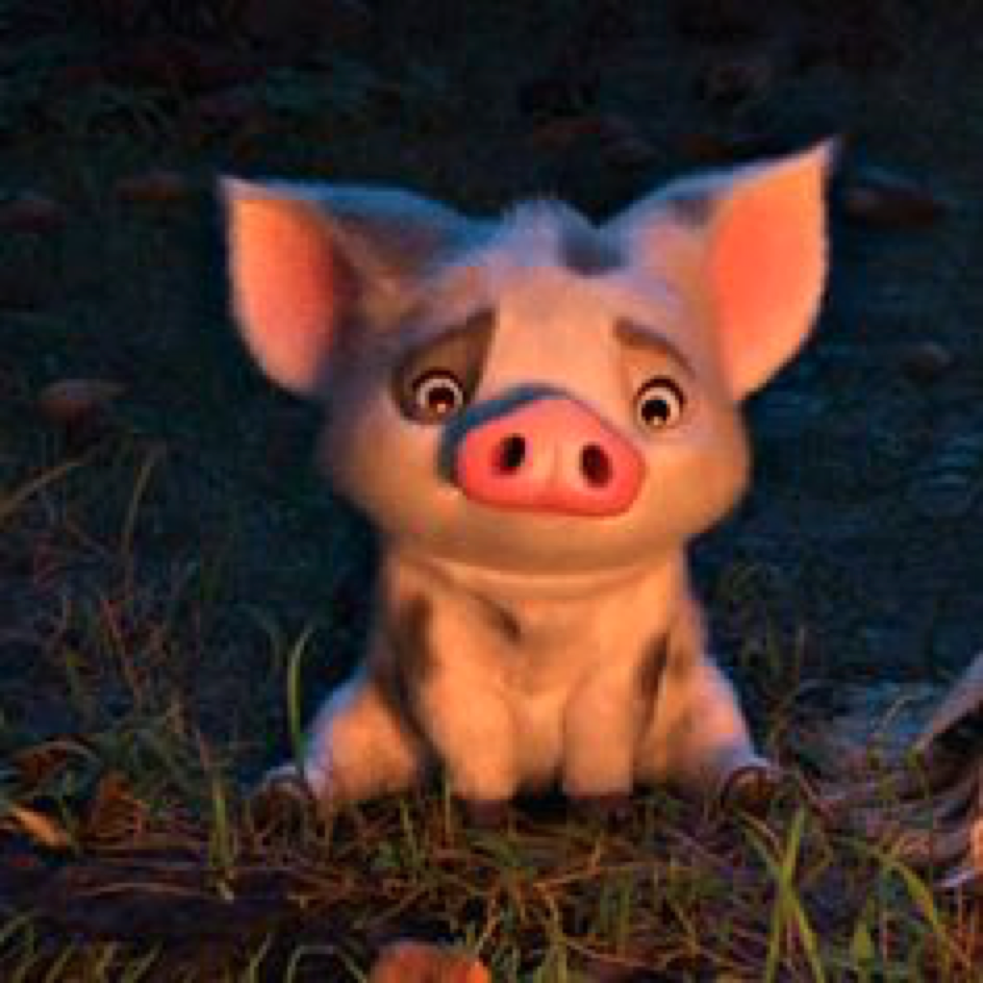 What Is The Pig S Name In Moana 99 Degree