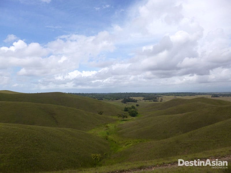 Ikon Outback Indonesia Taman Nasional Raksasa Di Sulawesi