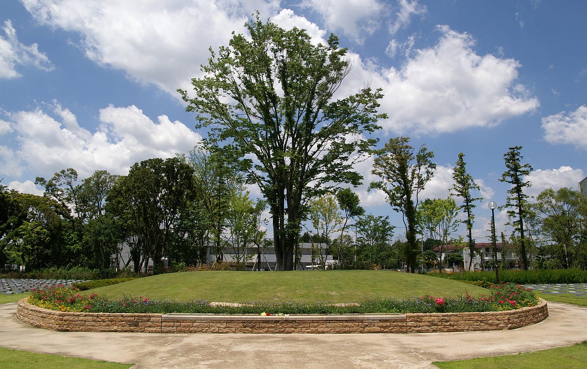 Are “Tree Burials” the Graves of Japan’s Dreams? IGNITION INT. Medium
