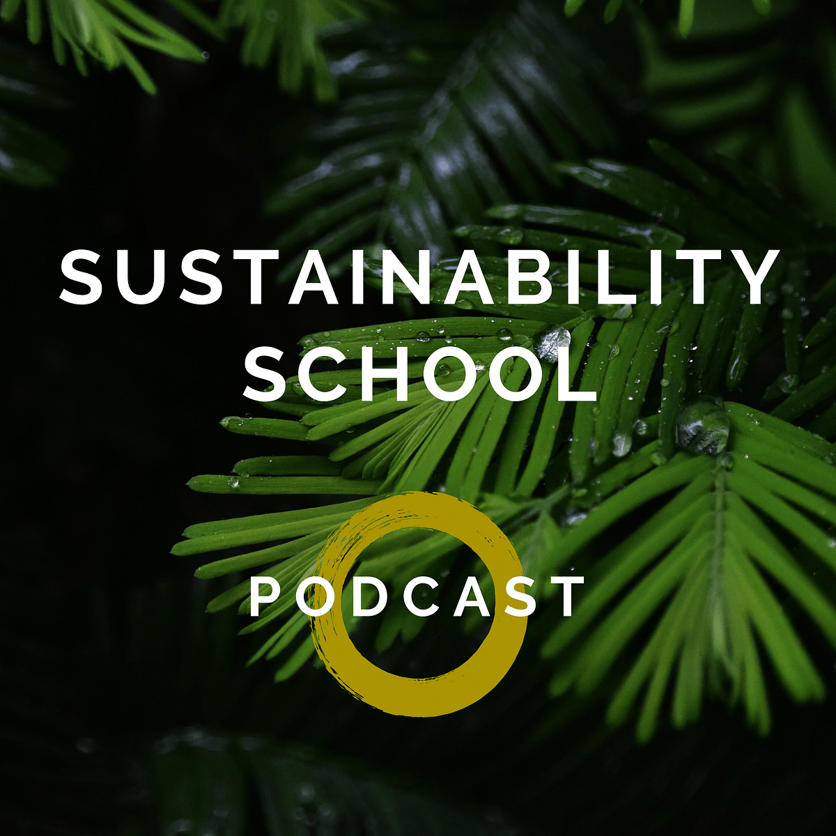 Sustainability School – Medium