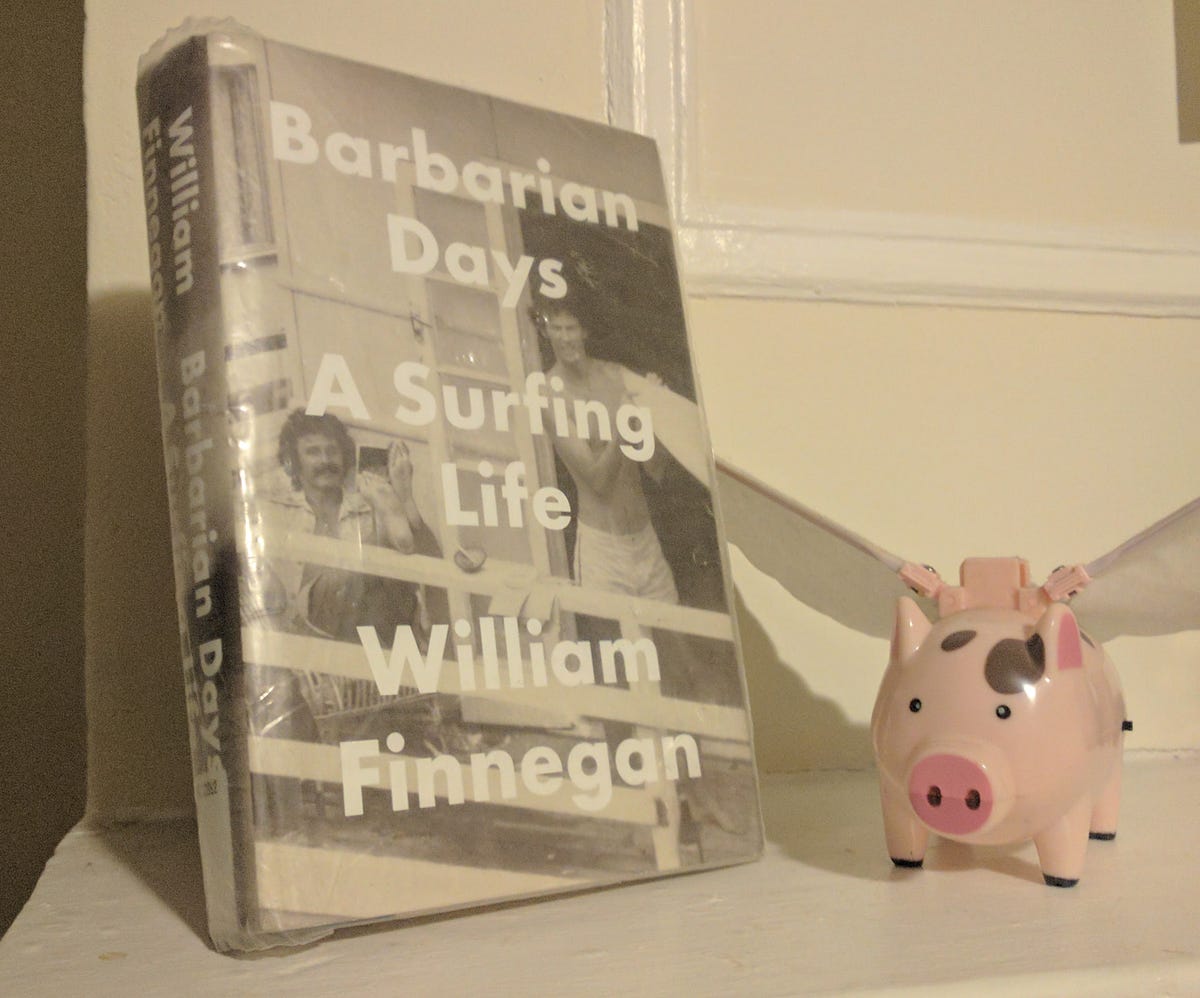 Barbarian Days A Surfing Life Uncritical Criticism Medium