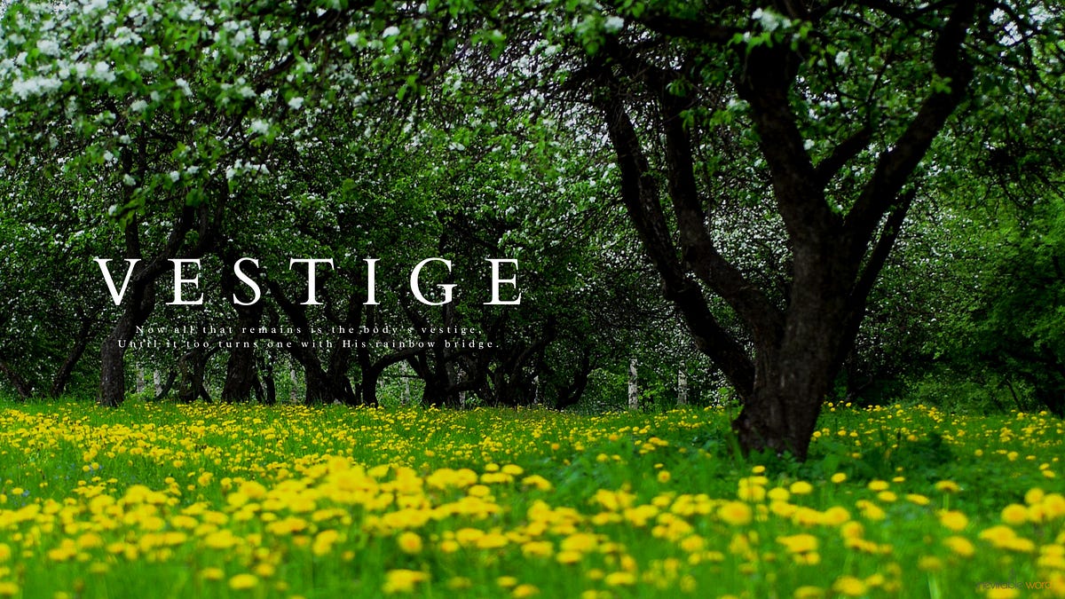 Vestige